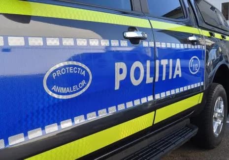 Cruzime în Marghita: un şofer a călcat intenţionat un câine cu maşina şi l-a ucis
