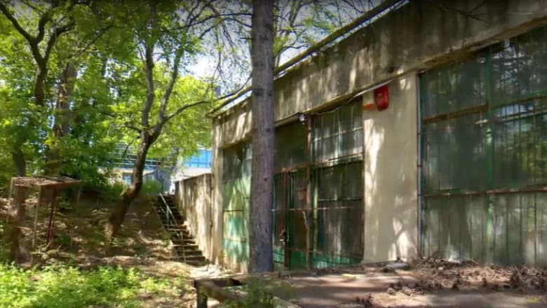 Companie de stat pentru un depozit care stă să cadă. Cinci șefi, activitate zero și bani încasați doar din chirie